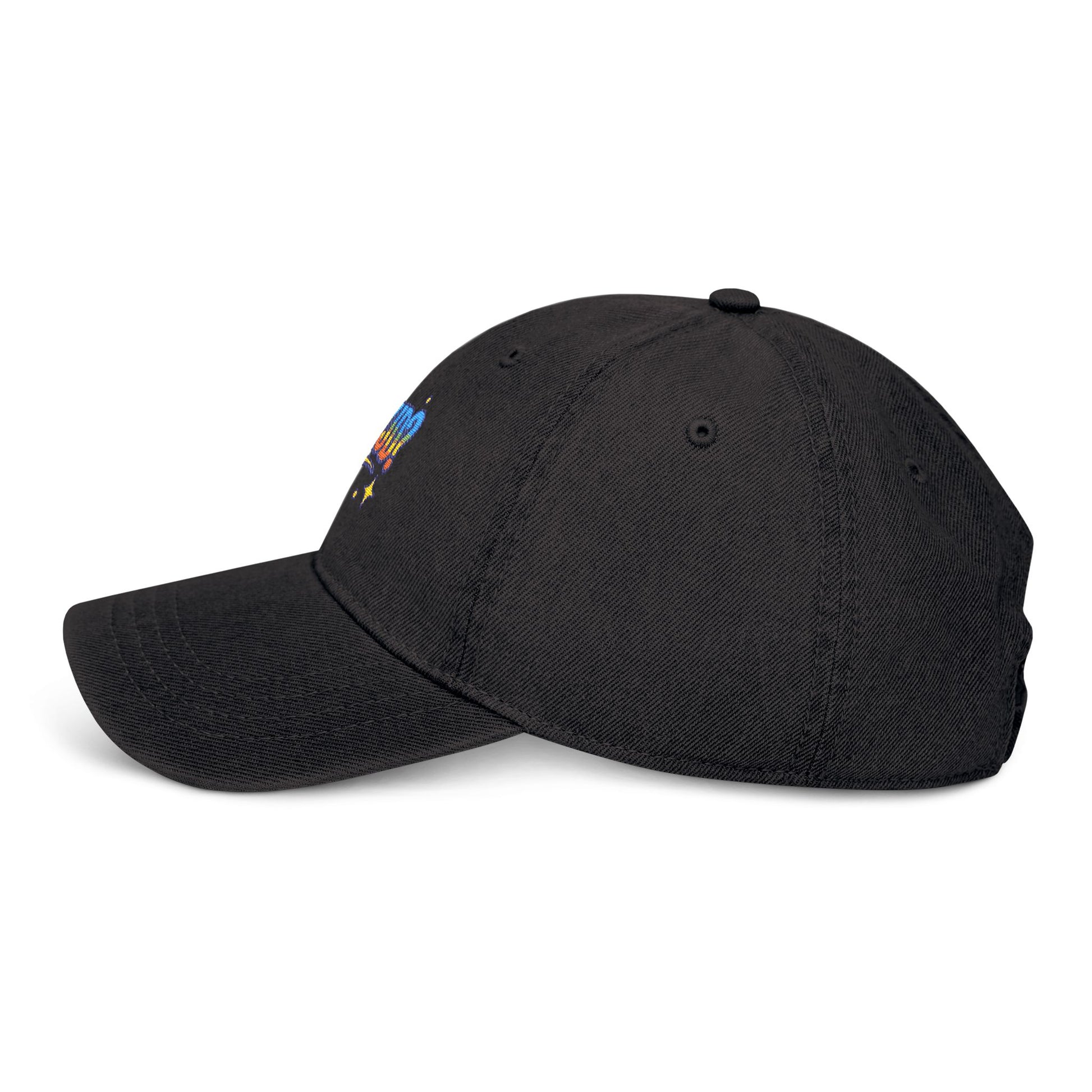 'WWJD?' Embroidered Denim Hat